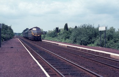 Heusden - TH 81-5135.jpg